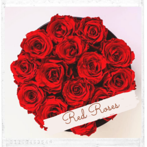 Red Roses