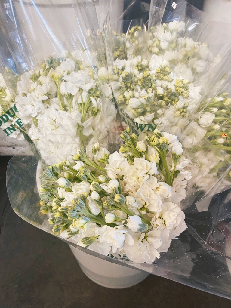 fresh flowers